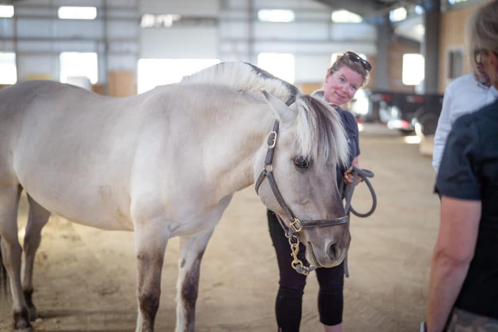 A light gray horse named Sally stands in an indoor area held by a smiling woman who is smiling